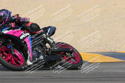 media/Mar-12-2023-SoCal Trackdays (Sun) [[d4c8249724]]/Turns 9 and 10 (1020am)/